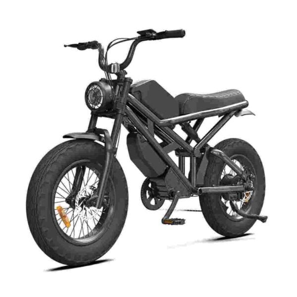 750 Watt Electric Fat Tire Bike kereskedő gyári gyártó nagykereskedés