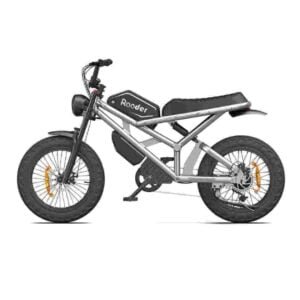 750 Watt Fat Tire Bike kereskedő gyári gyártó nagykereskedés